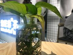 -素匠泰茶(三里屯SOHO工体奶茶店)