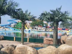 -秦皇岛乐岛海洋王国