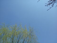 -宁波儿童公园(鄞州区)