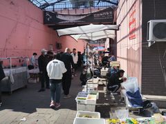 -中环花鸟鱼虫市场