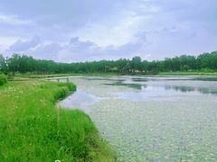 -塞罕坝国家级自然保护区