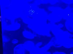 -南昌海洋公园