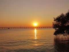 -宝安西湾红树林湿地公园