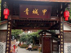 -青城甲(青城山店)
