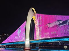 -珠江夜游省总码头