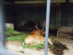 -水绘园