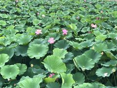 -北京天湖会议中心