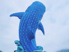 -珠海长隆海洋王国