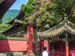 -报恩寺(平武县)