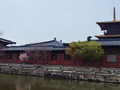 -广富林郊野公园