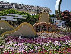 点击看大图 -云湖游乐园