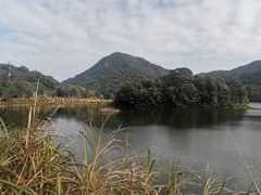 -广州市石门国家森林公园
