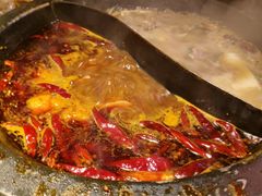 -蜀大侠火锅(总府路店)