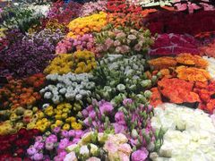 -双季花艺园艺市场(浦东店)