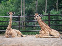 -济南野生动物世界