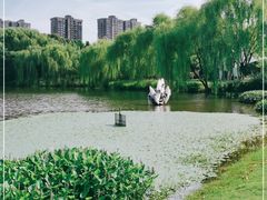 -杭州城北体育公园