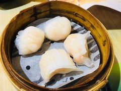 -添好运点心专门店(北角店)