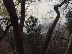 -北京十三陵国家森林公园蟒山景区