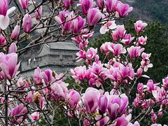 -居庸关长城