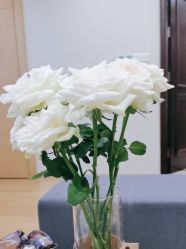 体验后-ROYEA茹彦祛痘·问题肌肤修护中心