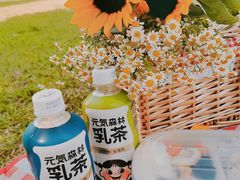 -济南植物园