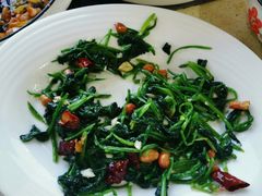 -巴音陶日故德烩菜馆(体育场店)