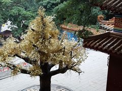 -青岩寺风景区