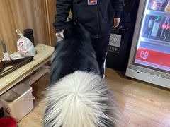 -白兔子密室(长寿路店)