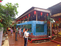 大堂-年辉渔村
