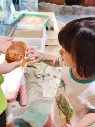 -酷嗒动物文化乐园(cutezoo西溪乐天城店)