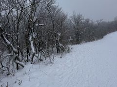 -安吉龙王山风景区
