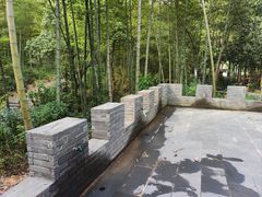 -龙坞茶村