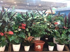 -新荟城(望京店)