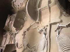 -洛阳周王城天子驾六博物馆