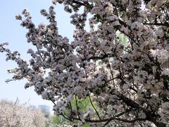 -元大都城垣遗址公园