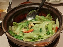 澳门虾酱啫农场生菜-小炳胜(卓悦中心店)