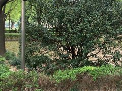 -上海交通大学医学院附属瑞金医院(总院)