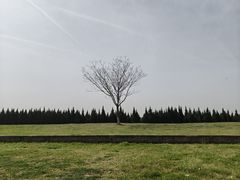 -汉长安城未央宫国家考古遗址公园