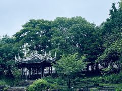 -惠山古镇·寄畅园