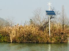 -白塔湖国家湿地公园