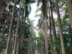 -华南国家植物园-售票处