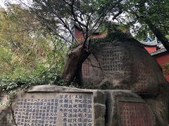 -乌山风景区