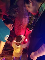 -恐龙探索乐园(磁器口店)