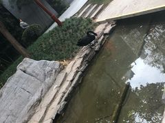 -西安曲江寒窑遗址公园