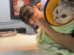 -御宝贝·A梦猫科宠物医院(国际猫友好医院)