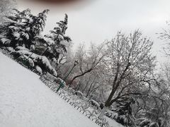 -唱吧麦颂ktv(紫金大厦店)