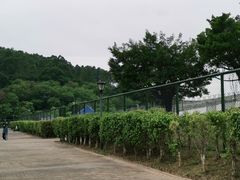 -深圳信息职业技术大学体育馆