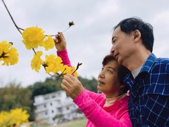 -红山村