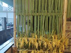 -湘小妹湖南土菜(南新路店)