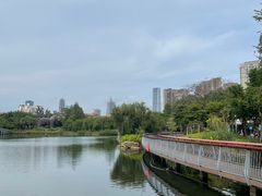 -四海公园(南山区)